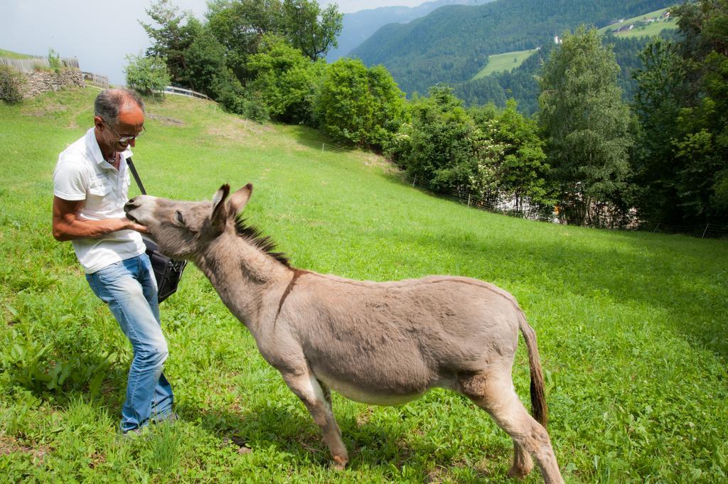 Ausservogelweiderhof Laion Ngoại thất bức ảnh